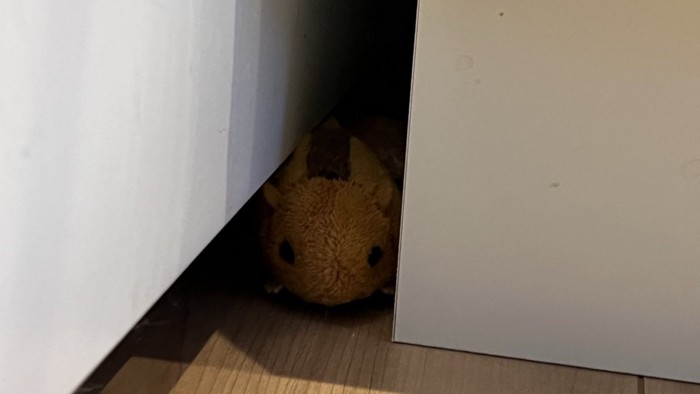 おもちゃのアップ