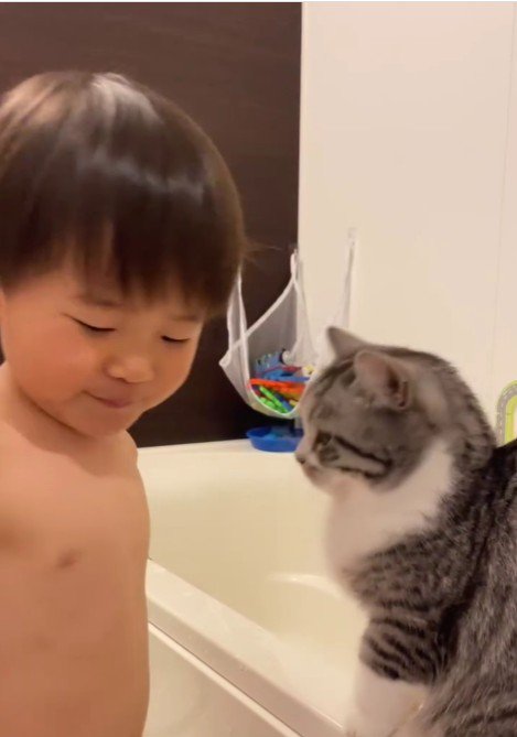 座っている猫