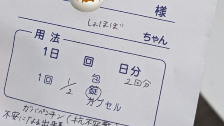 薬袋