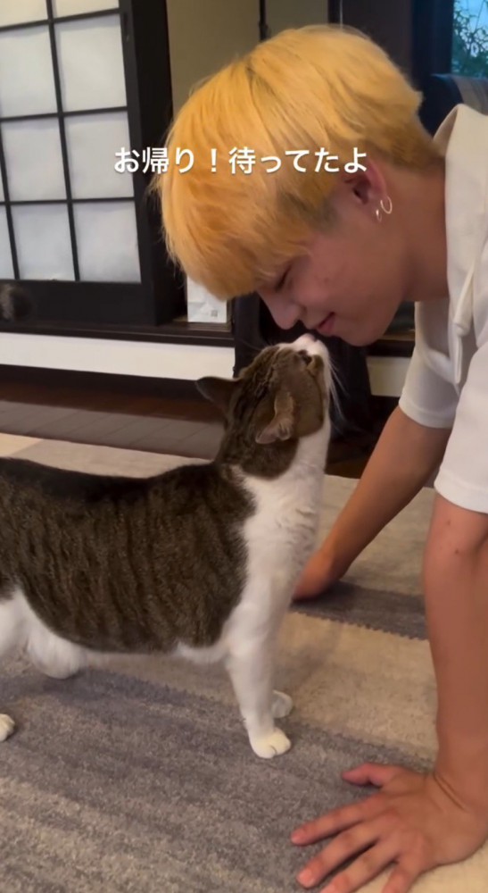 男性の口元に鼻を近づける猫