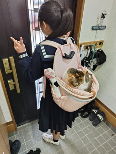 女の子に背負われる猫