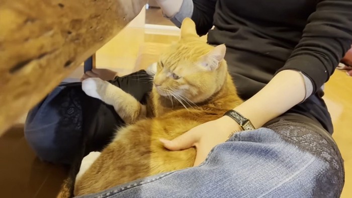 そっぽを向いた姿