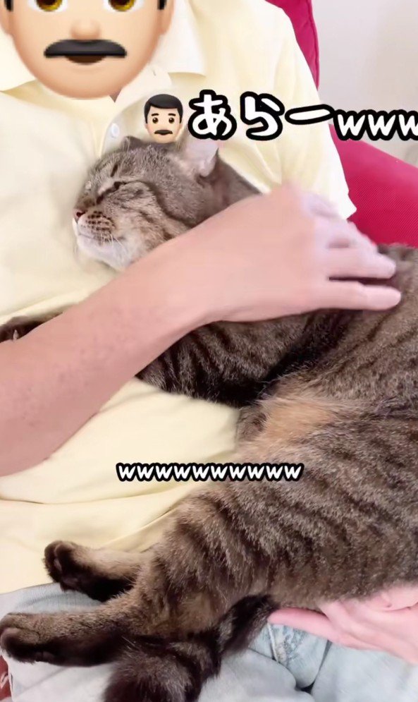 猫を膝にのせる男性
