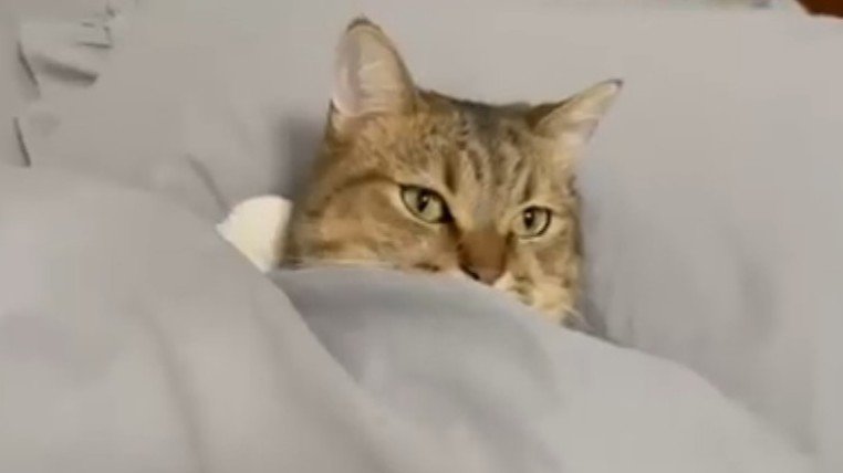 口元まで包まれて