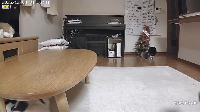 右に傾くツリー