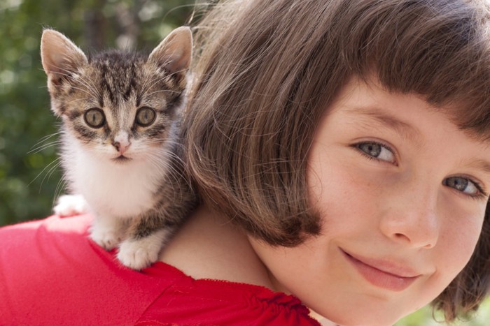 女の子と子猫