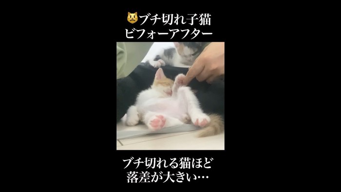 落差が大きい