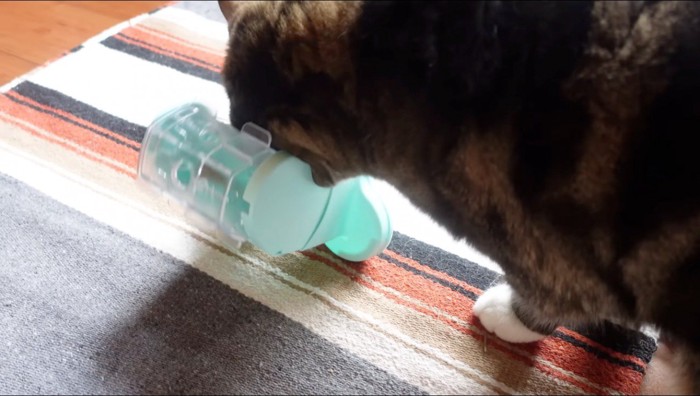 猫に頭で押されて倒れるおもちゃ