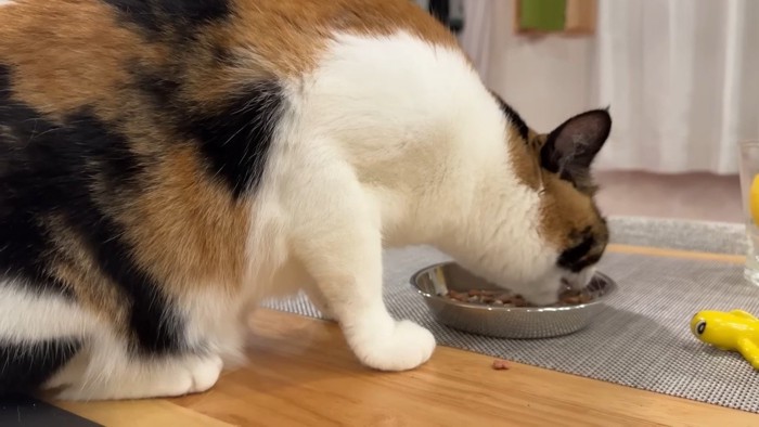 ご飯