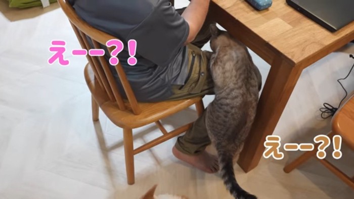 えー？！