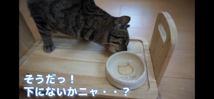 もっと食べたい