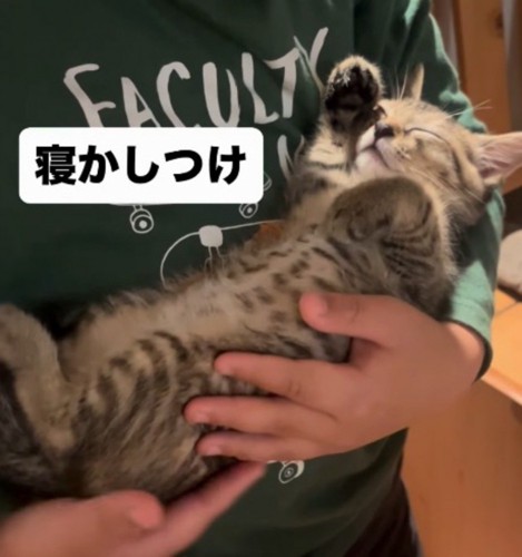 仰向けになって男の子に抱っこされている子猫