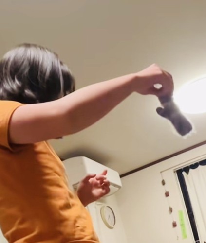 三毛猫に手袋を振って見せる娘さん