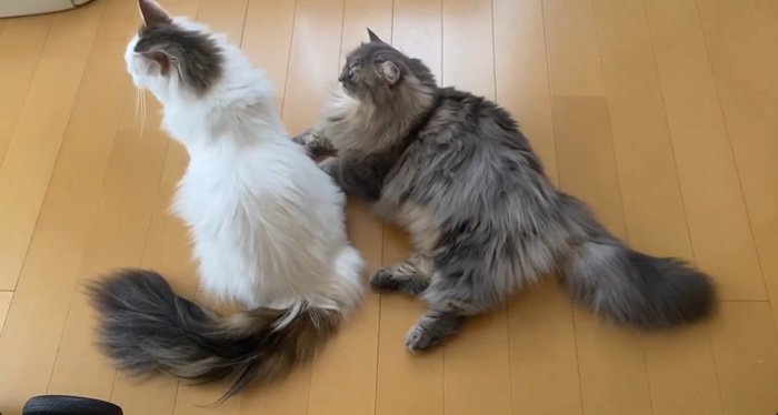 乗り気じゃない