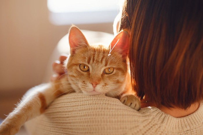 抱きしめられる猫