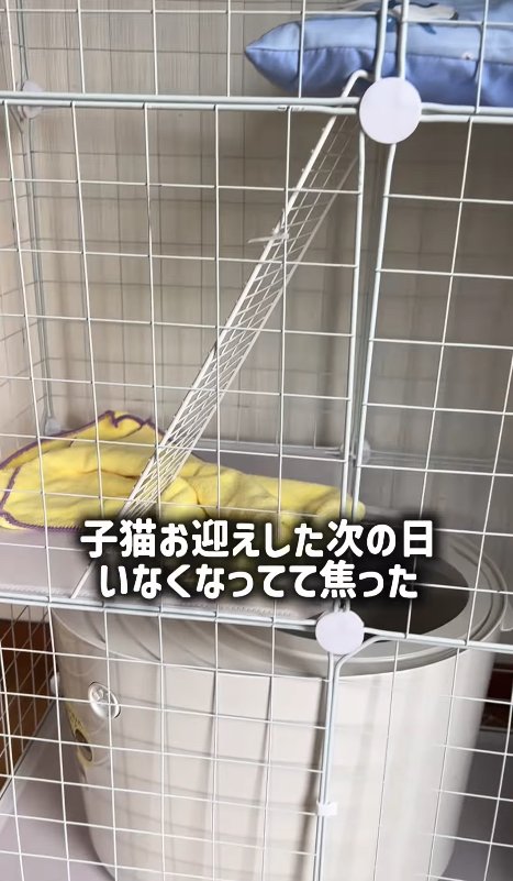 ケージの二階にある黄色いタオル