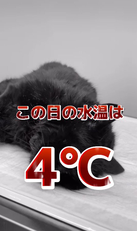 水温は4℃