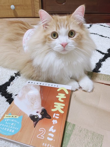 ベルくんと本