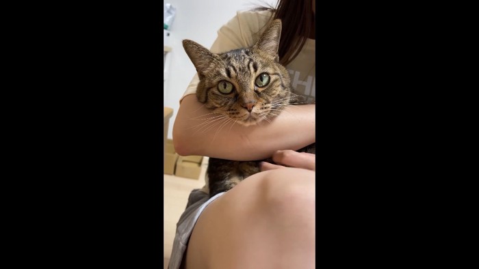 抱っこ(正面)