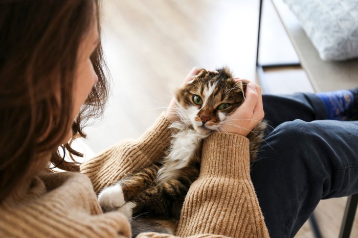 猫をなでる女性