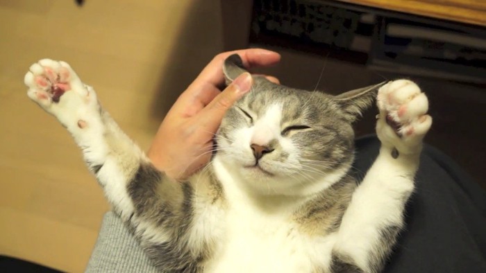 目を閉じてバンザイ