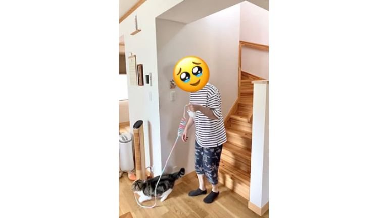 猫と男性