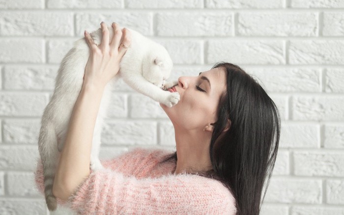 女性の顔にパンチ気味の猫