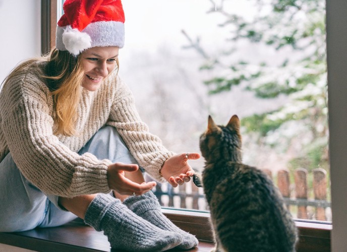 女性の手招きに応じない猫