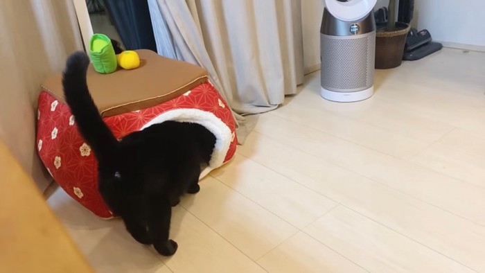 猫ベッドに頭を入れる猫