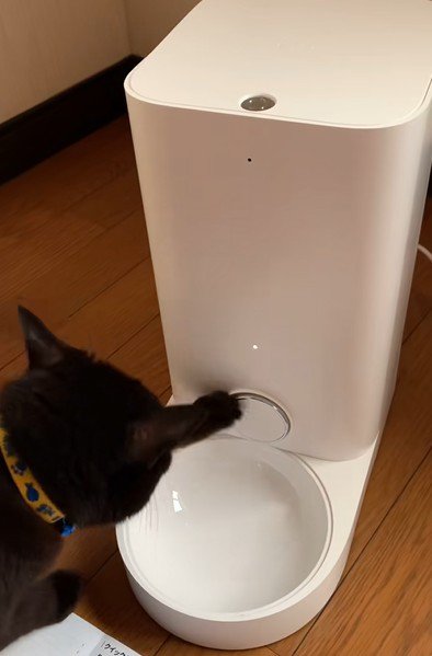 自動給餌器を前足で引っかく猫