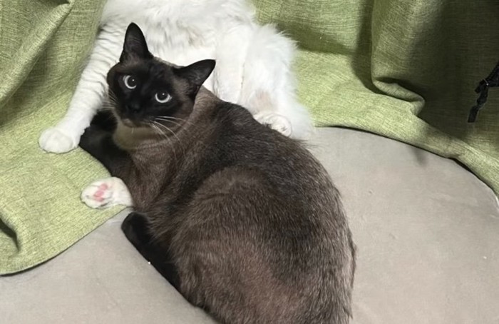 顔アップ