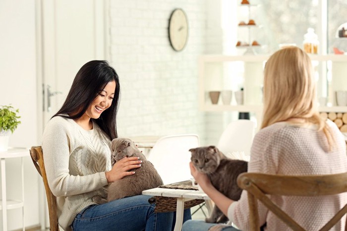 猫と女性