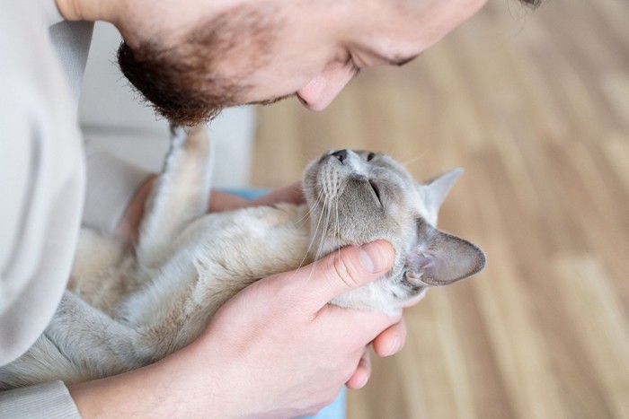 男性にあやされて嬉しそうな猫