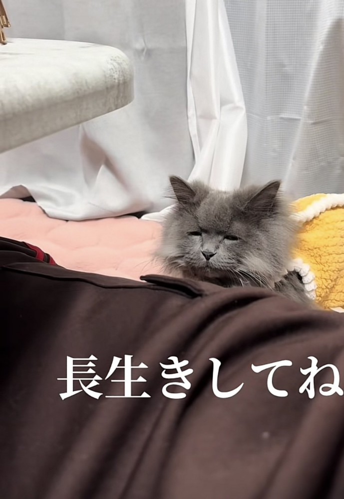 「長生きしてね」のテロップ写真1