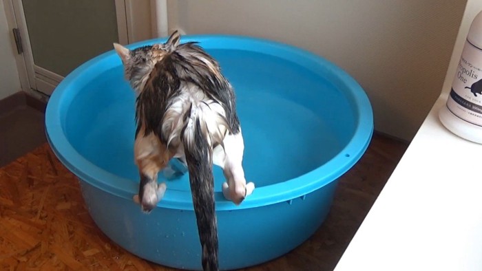 後ろ姿(両足をフチに)