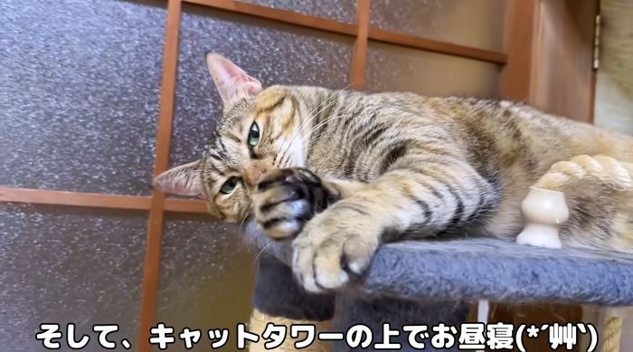 いつものリタさん