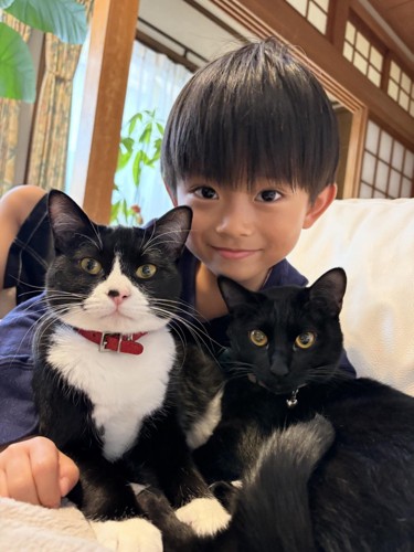子どもと2匹の猫