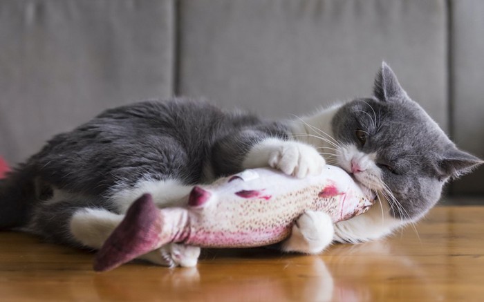 寝転んでオモチャに噛み付く猫