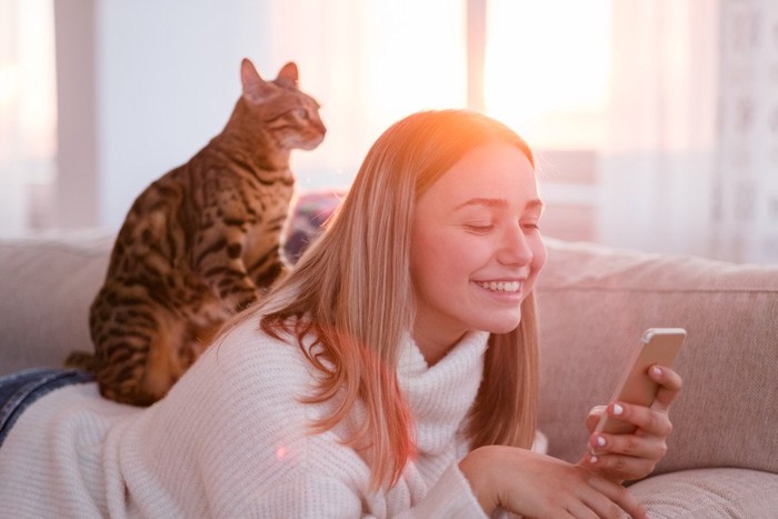 女性の上に乗っている猫 