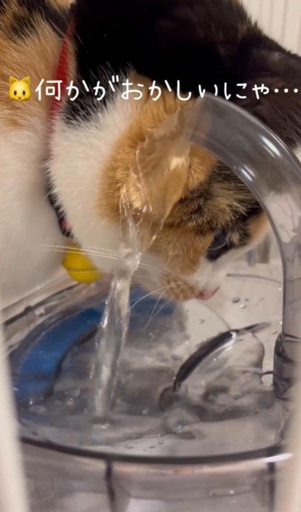 「何かがおかしいにゃ…」と書かれている