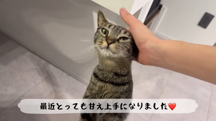 赤ちゃんとの生活を経て『甘え上手』に!