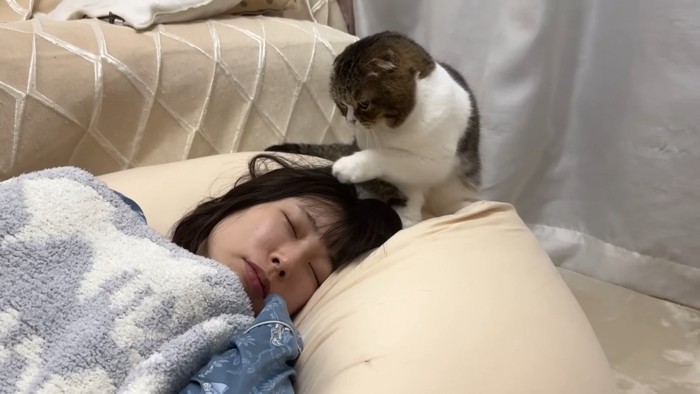 ママを再び起こすぽこ太郎くん