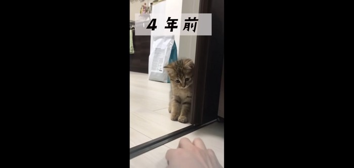 4年前