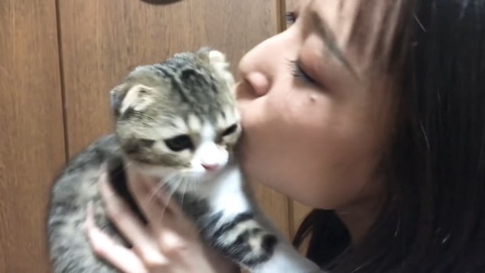 片方の目を閉じる猫