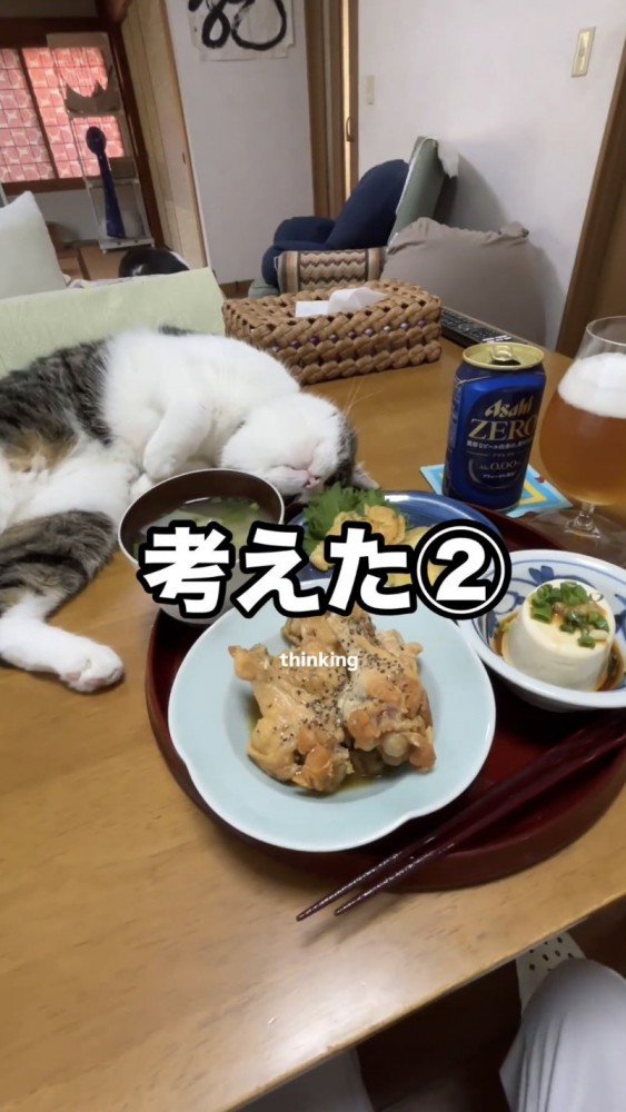 食卓で寝転がる猫