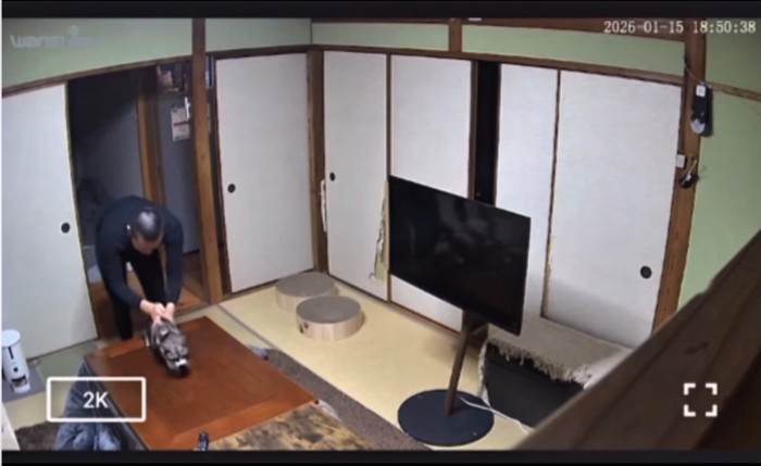 猫を下ろす男性