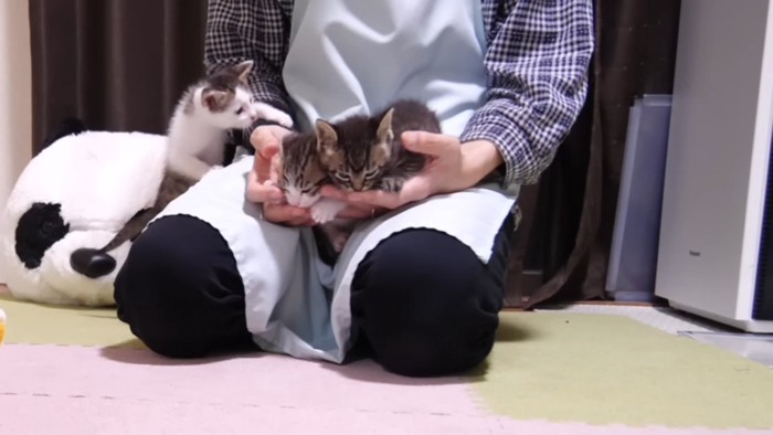 手に吸いつくふたり
