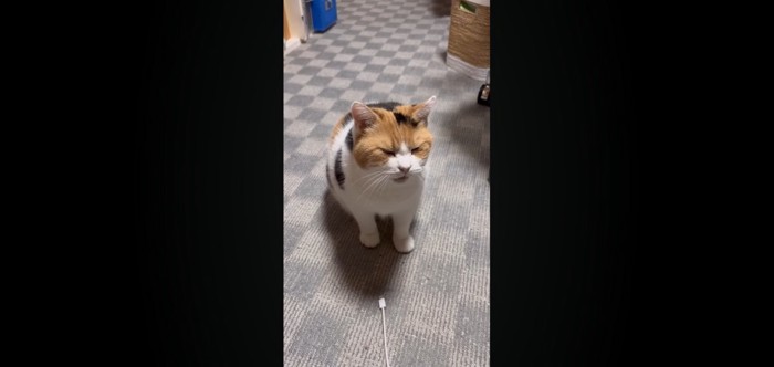 おしゃべり