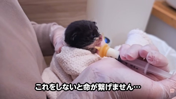 テロップ「これをしないと~」