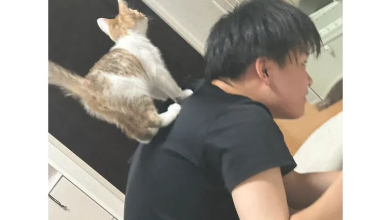男性と猫